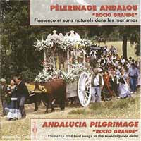 Pelerinage Andalou : Rocio Grande - Flamenco Et Sons Naturels Dans Les Marismas - Rock/Pop - CD