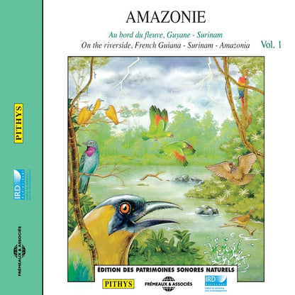 Amazonie Vol 1 - Au Bord Du Fleuve - Guyane - Surinam - Rock/Pop - CD