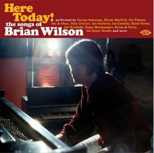 Various Artists - Here Today! - The Songs Of Brian Wilson - Rock/Pop - CD