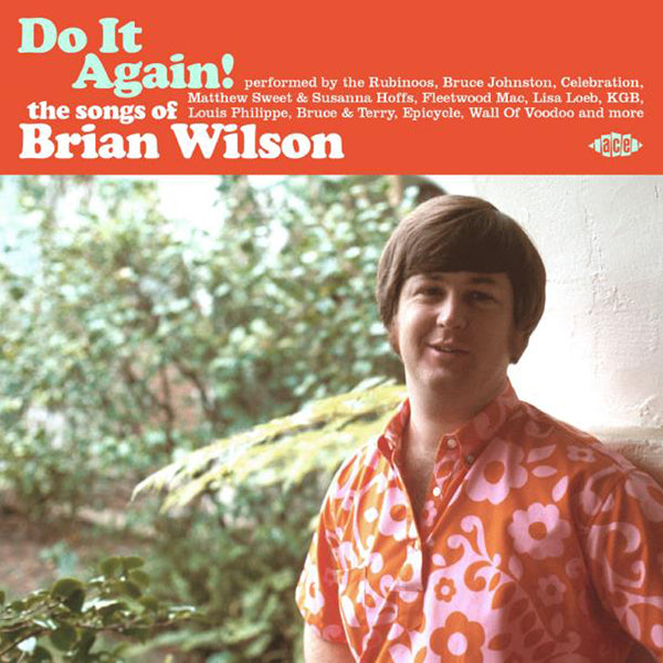 Various Artists - Do It Again! The Songs Of Brian Wilson - Pop - CD