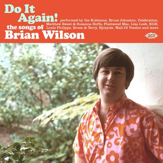 Various Artists - Do It Again! The Songs Of Brian Wilson - Pop - CD
