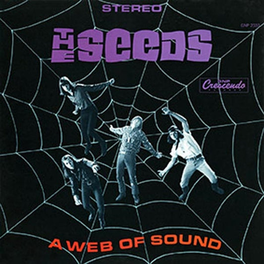 Seeds, The - A Web Of Sound (2Cd) - Rock - DCD