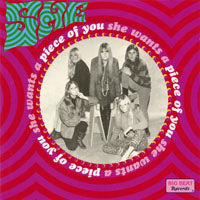 She - Wants A Piece Of You - Rock - CD