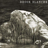 Brook Blanche - Brook Blanche - Country/Folk - LP
