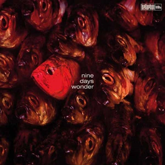 Nine Days' Wonder - Nine Days' Wonder - Rock - LP