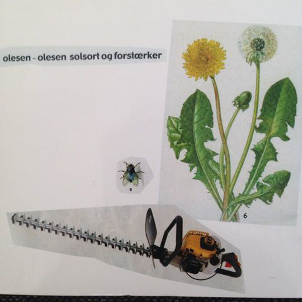 Olesen-Olesen - Solsort Og Forstaerker - Indie - LP