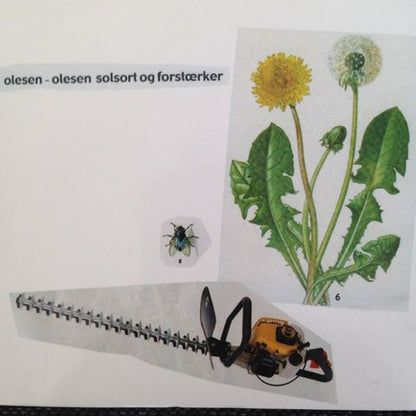 Olesen-Olesen - Solsort Og Forstaerker - Indie - LP
