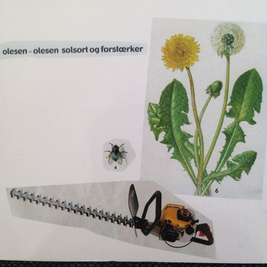 Olesen-Olesen - Solsort Og Forstaerker - Indie - LP