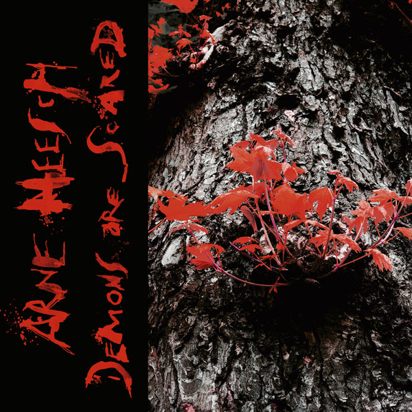 Arne Heesch - Demons Are Scared (Lp+Cd) - Rock - LP
