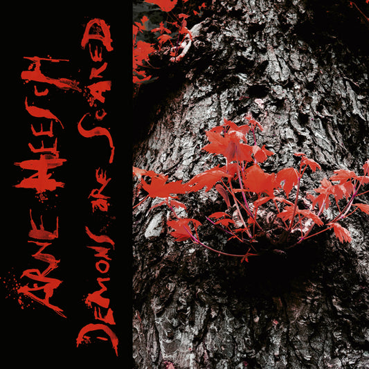 Arne Heesch - Demons Are Scared (Lp+Cd) - Rock - LP