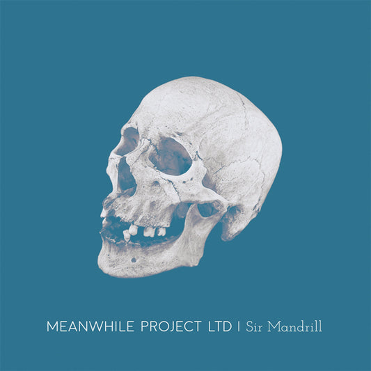 Meanwhile Project Ltd - Sir Mandrill - Indie - CD
