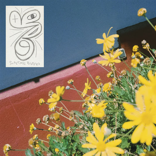 Laundromat Chicks - Sometimes Possessed - Pop - LP