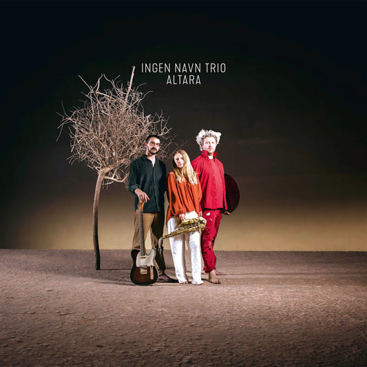 Ingen Navn Trio - Altara - Jazz - LP