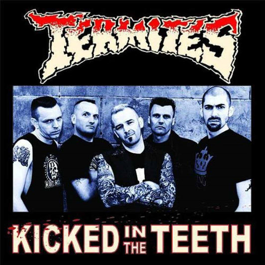Termites - Kicked In The Teeth - Punk - LP