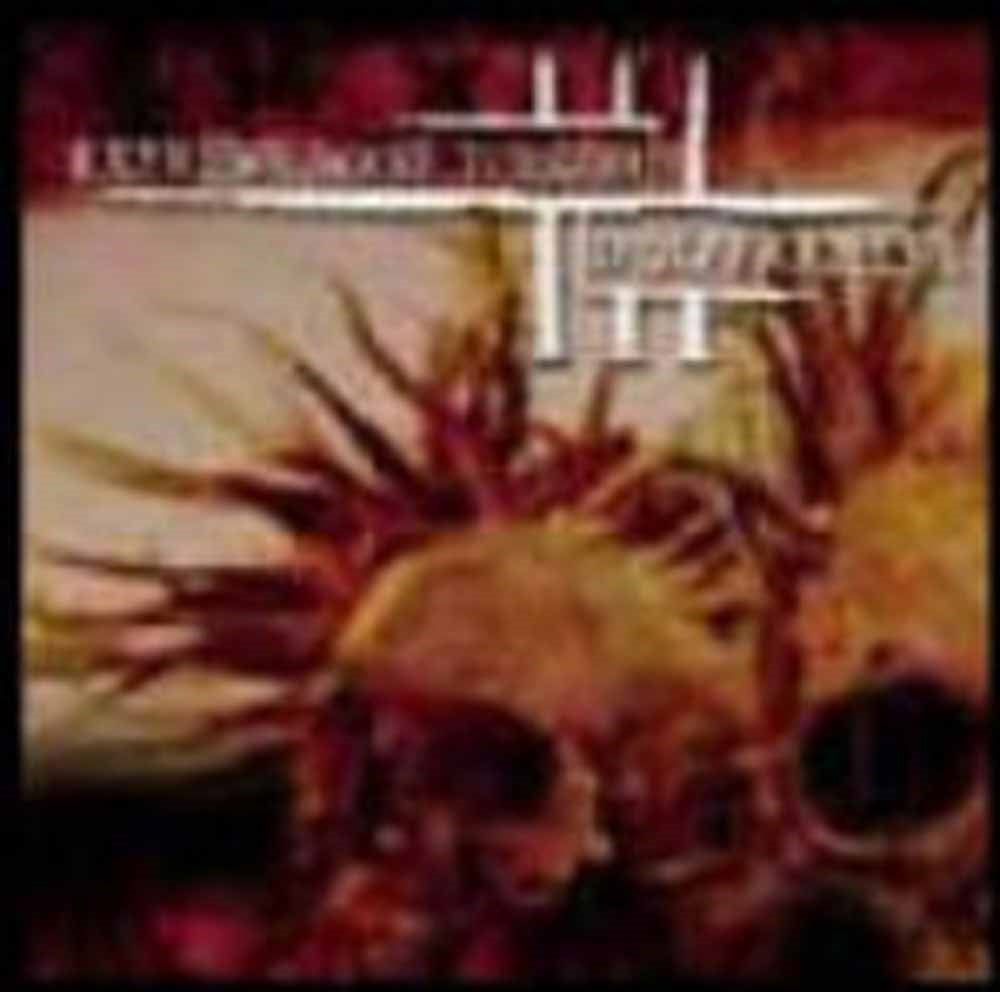 Driller Killer | Simbiose - Split - Metal - 7