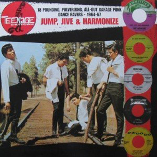 Various Artists - Teenage Shutdown - Jump, Jive And Harmonize - Rock/Pop - LP