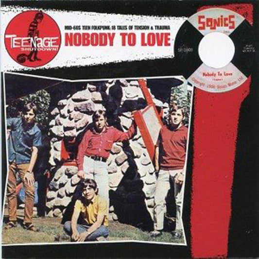 Various Artists - Teenage Shutdown - Nobody To Love - Rock/Pop - LP