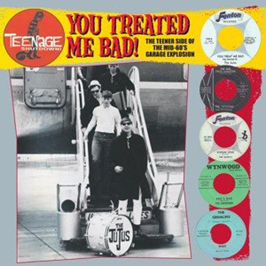 Various Artists - Teenage Shutdown - You Treated Me Bad - Rock/Pop - LP