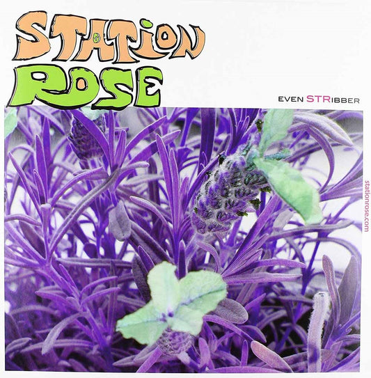 Station Rose - Even Stribber Ep - Electronic - 12