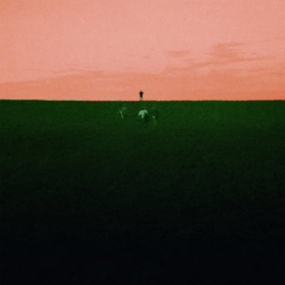 Dust Covered Carpet - Witness Me, Pass Out - Indie - LP