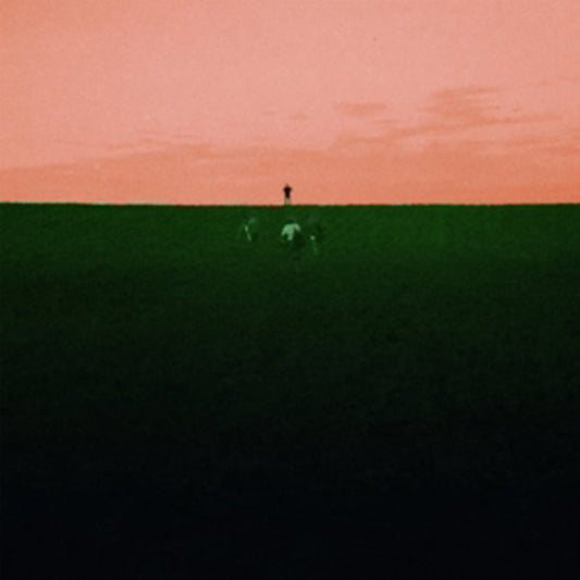 Dust Covered Carpet - Witness Me, Pass Out - Indie - CD