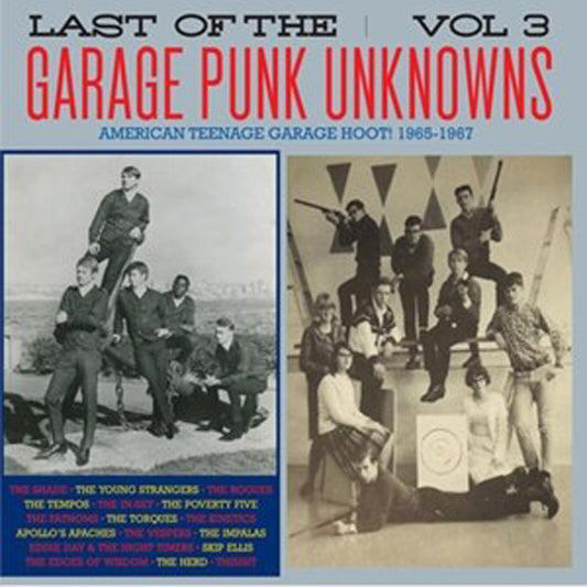 Various Artists - Garage Punk Unknowns - The Last Of... Vol.3 - Punk - LP