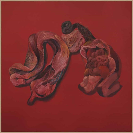 Narcosatanicos - Body Cults - Punk - LP