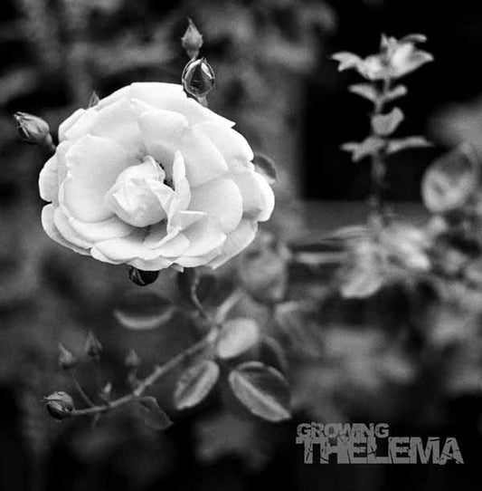 Thelema - Growing - Rock/Pop - LP