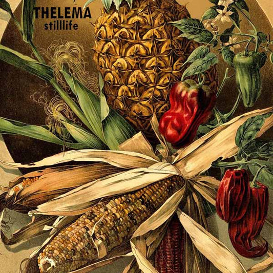 Thelema - Stilllife - Rock/Pop - LP