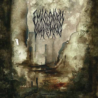 Emissary Of Suffering - Mournful Sights (Clear) - Metal - Music Vinyl LP