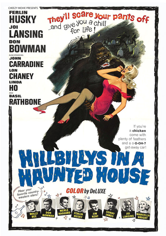 Feature Film - Hillbilly'S In A Haunted House - Film/TV/Character - DVD