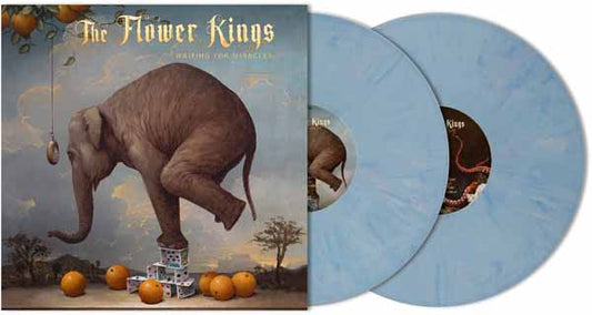 Flower Kings, The - Waiting For Miracles (Blurberry Vinyl 2Lp) - Rock - DLP