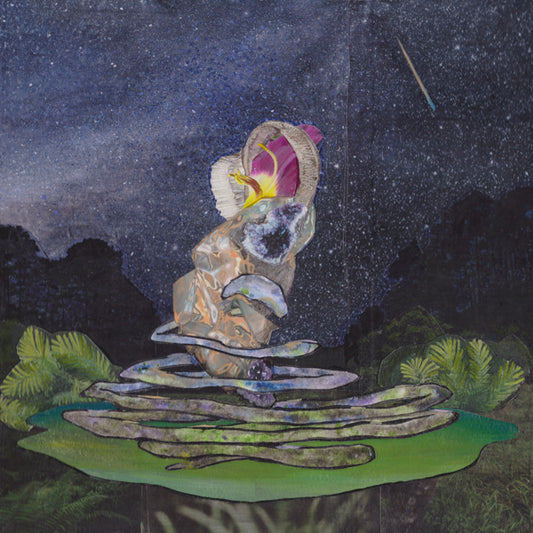 Lal - Meteors Could Come Down - Electronic - LP