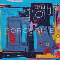 Porcupine - What You'Ve Heard Isn'T Real - Indie - CD