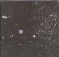 Azrael - Into Shadows Act Ii:Through... - Black Metal - CD