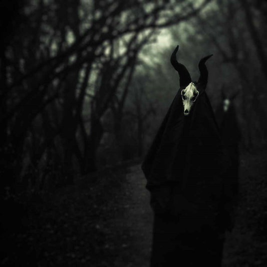 White Ward - Futility Report - Black Metal - CDD