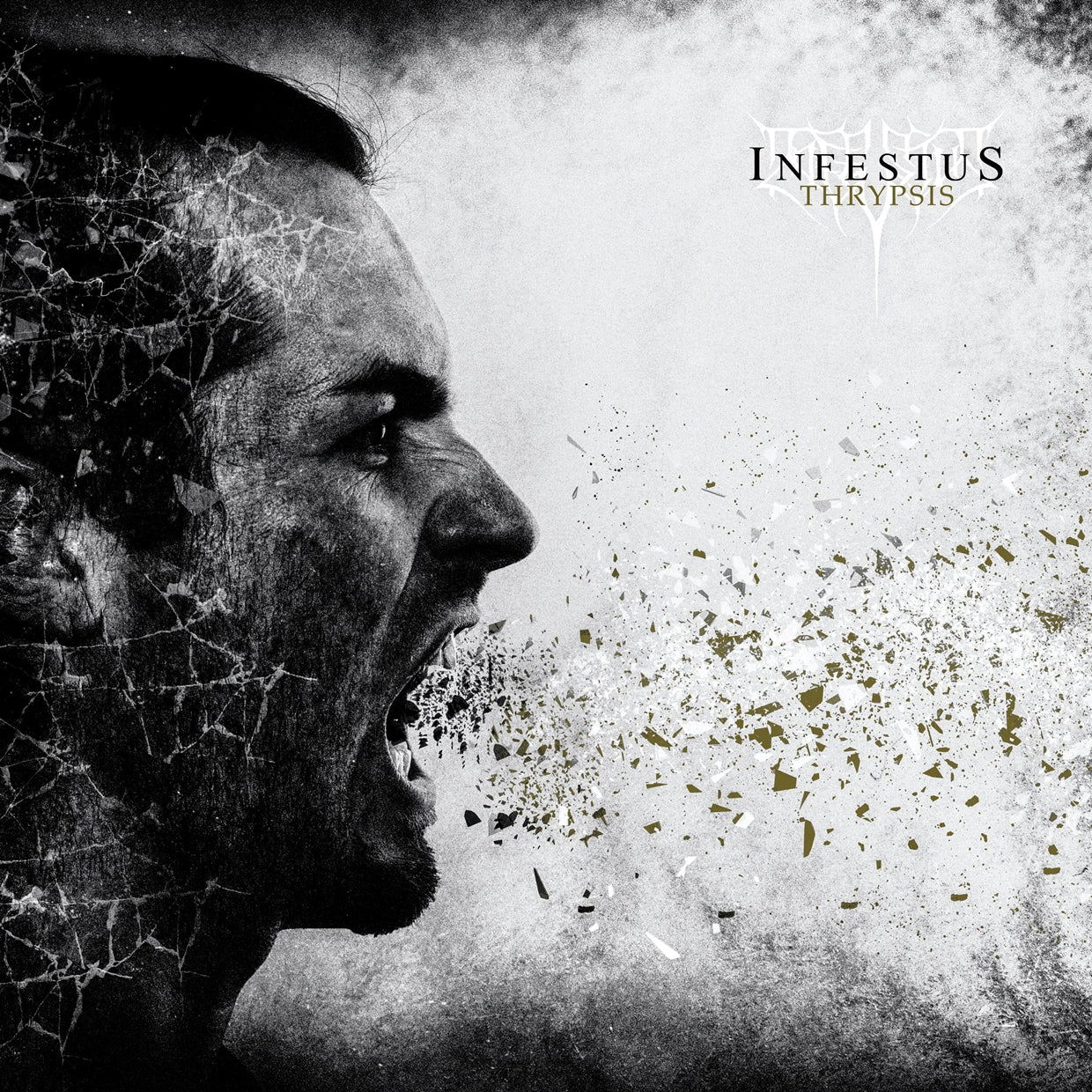Infestus - Thrypsis - Black Metal - CDD