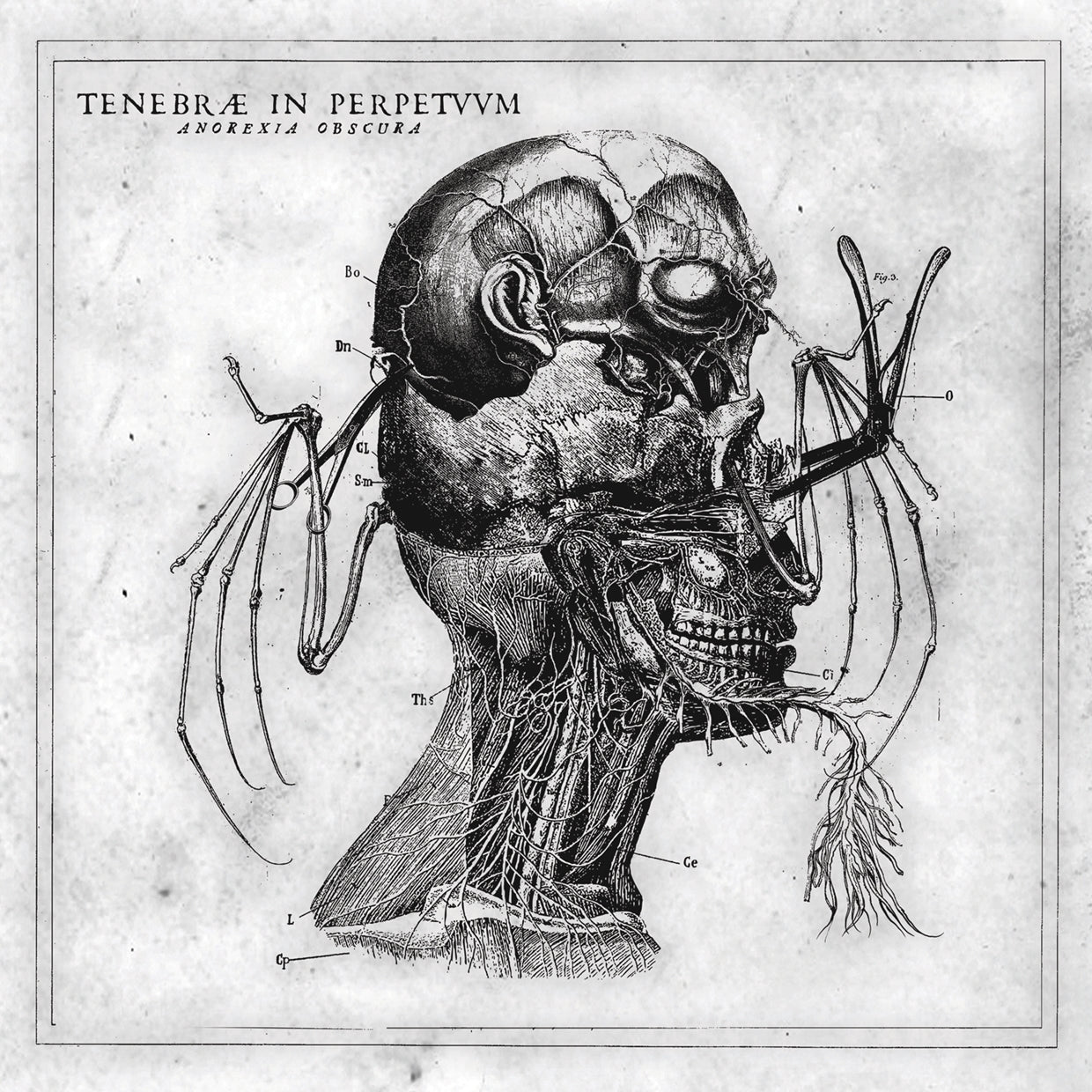Tenebrae In Perpetuum - Anorexia Obscura - Black Metal - CDD