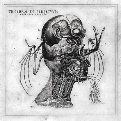 Tenebrae In Perpetuum - Anorexia Obscura - Black Metal - CDD