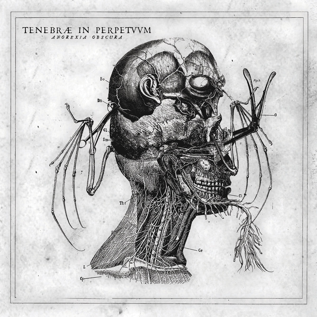 Tenebrae In Perpetuum - Anorexia Obscura - Black Metal - Music CDD