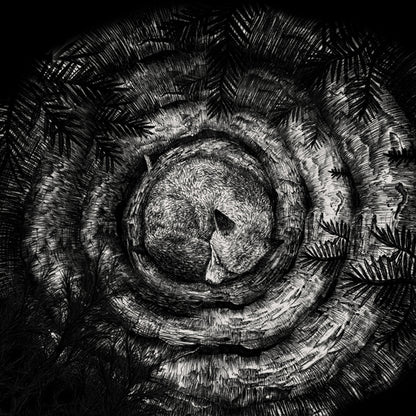 Forhist - Forhist - Black Metal - Music CDD