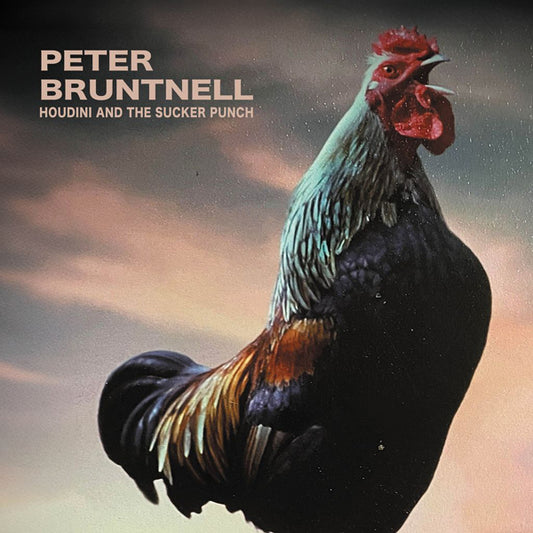 Peter Bruntnell - Houdini And The Sucker Punch [Vinyl] - Indie - LP