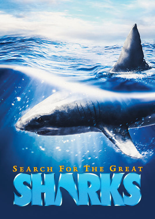 Feature Film - Search For The Great Sharks - Film/TV/Character - DVD