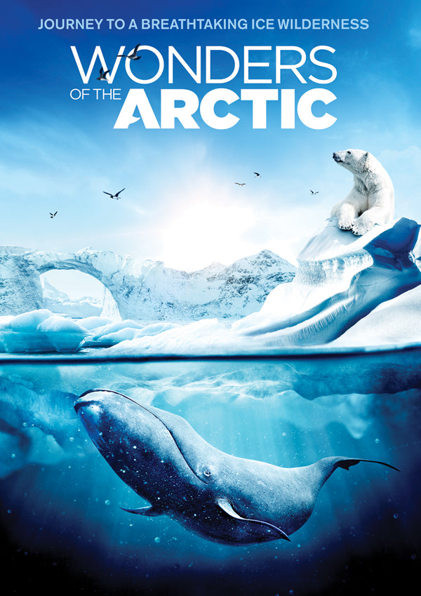 Documentary - Wonders Of The Arctic - Rock/Pop - DVD