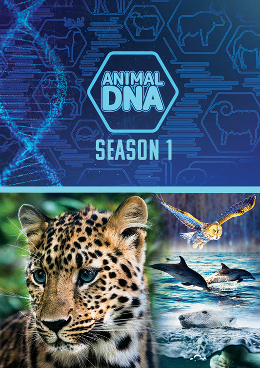 Feature Film - Animal Dna: Season One - Film/TV/Character - DVD