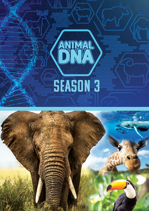 Feature Film - Animal Dna: Season Three - Film/TV/Character - DVD