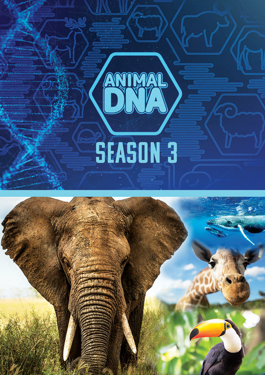 Feature Film - Animal Dna: Season Three - Film/TV/Character - DVD