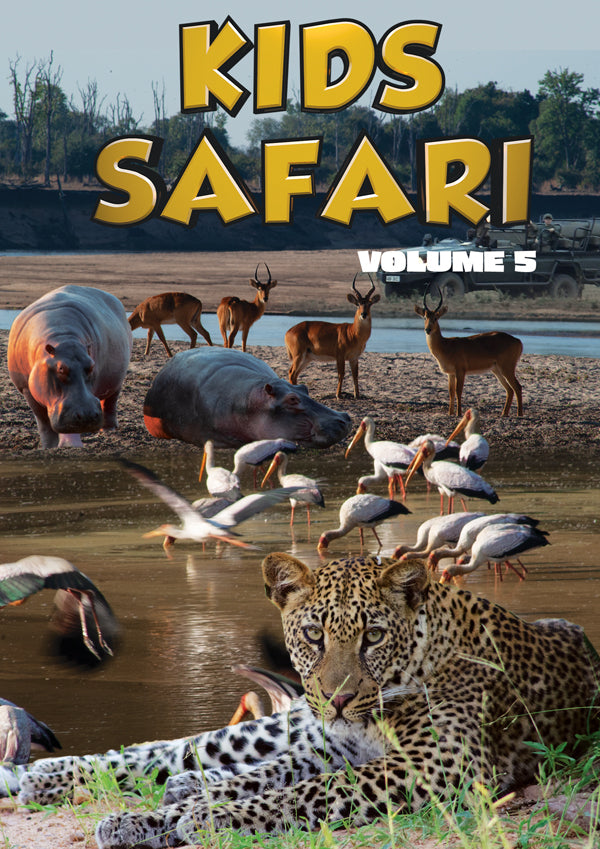 Feature Film - Kids Safari: Volume Five - Film/TV/Character - DVD