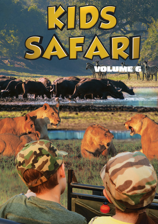 Feature Film - Kids Safari: Volume Six - Film/TV/Character - DVD