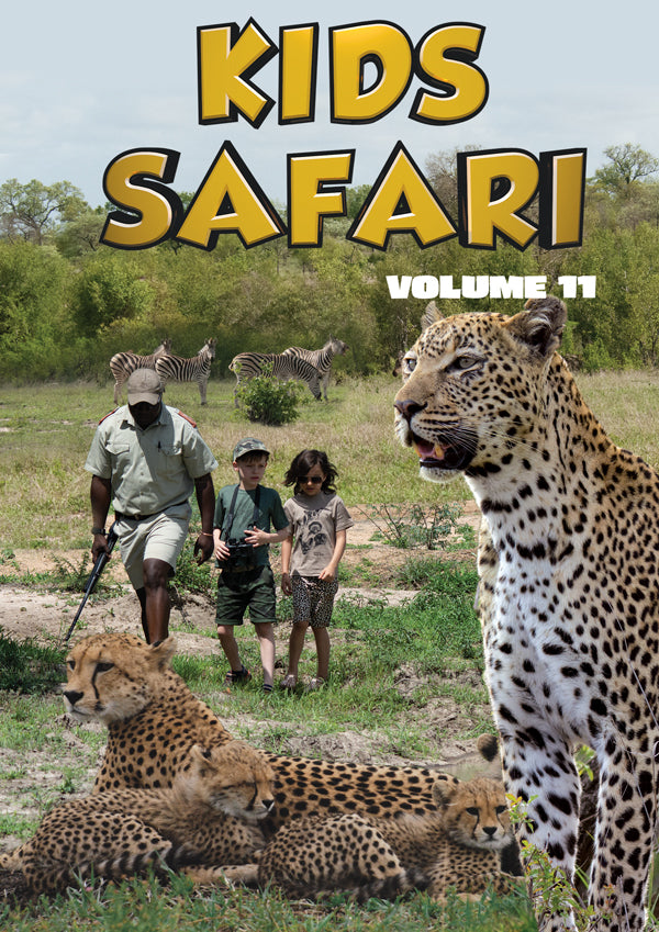 Feature Film - Kids Safari: Volume Eleven - Film/TV/Character - DVD
